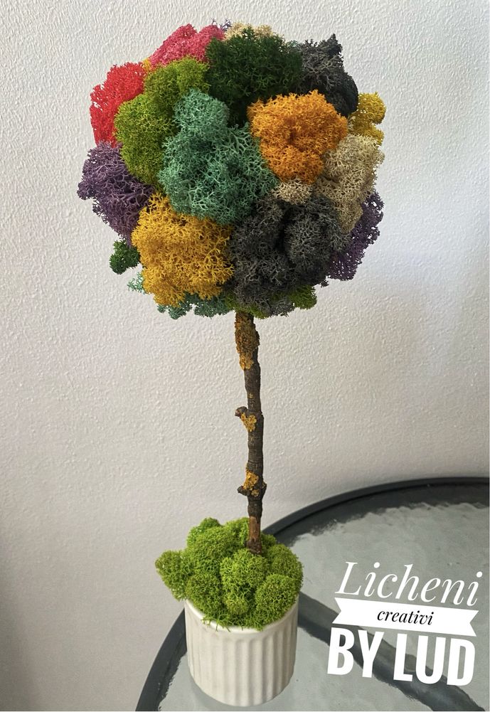 Copac decorativ cu licheni