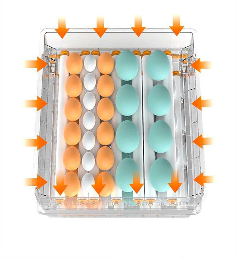 Автоматичен ролков инкубатор на 2 нива MS-120 кокоши яйца (12V/220V)