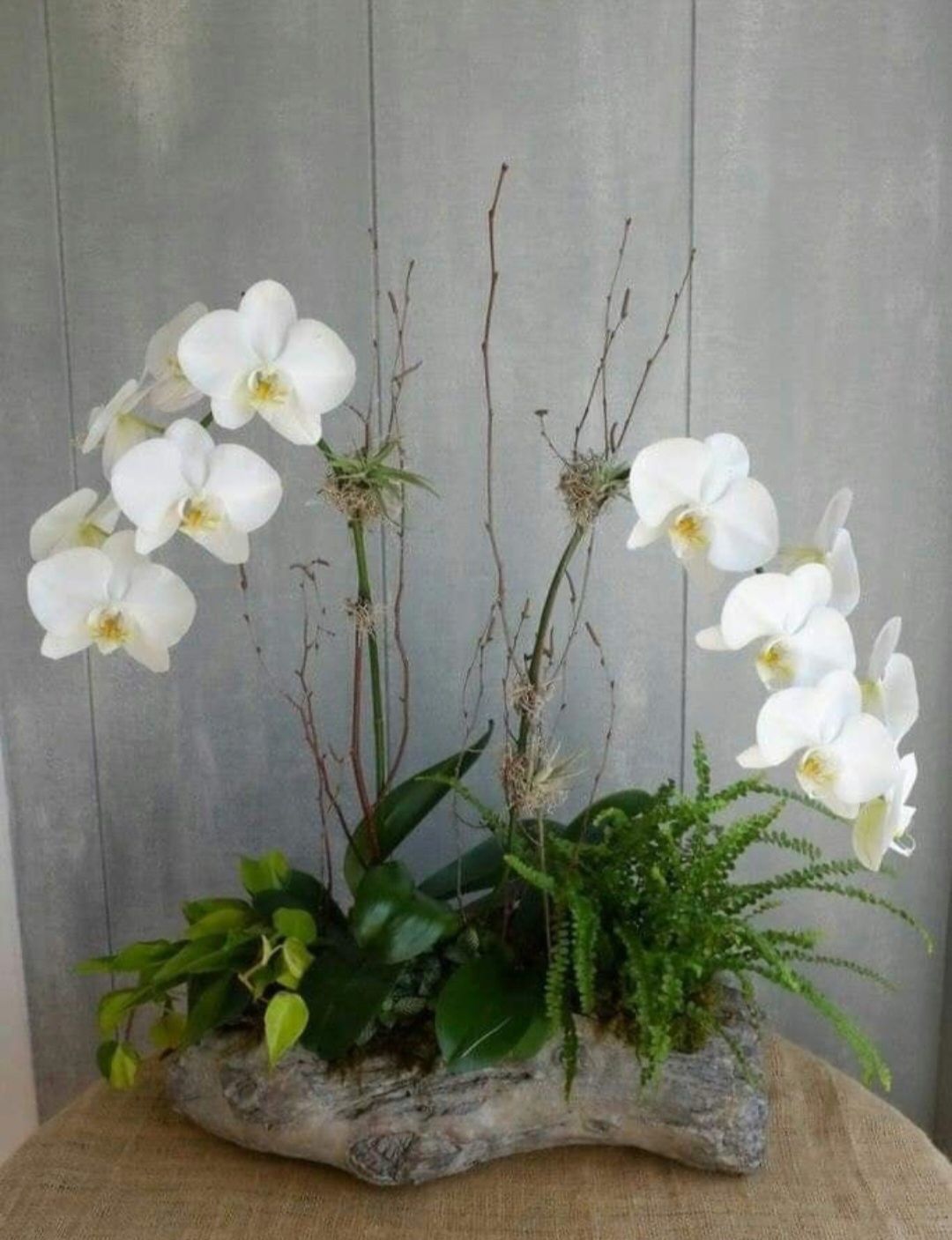 Aranajament floral cu orhidee și plante naturale și criogenate.