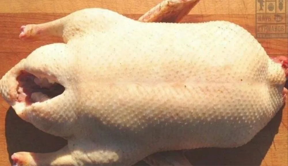 Гуси домашние! 2500 тг за кг