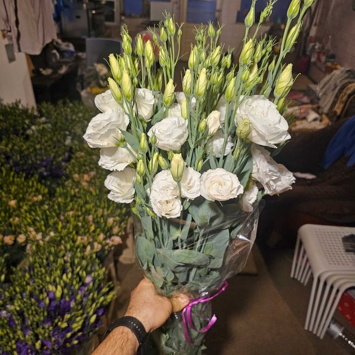 Lisianthus - flori en gross 5 culori