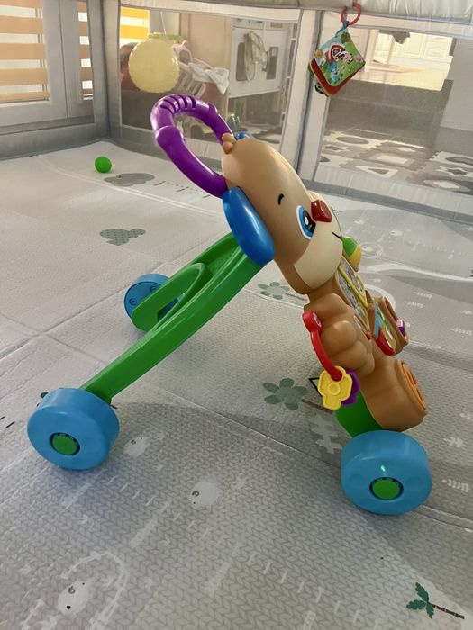 Проходилка за бутане Fisher Price Smart Stages Музикално кученце