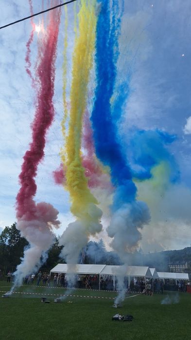 Artificii de zi BabyShower/Gender Reveal