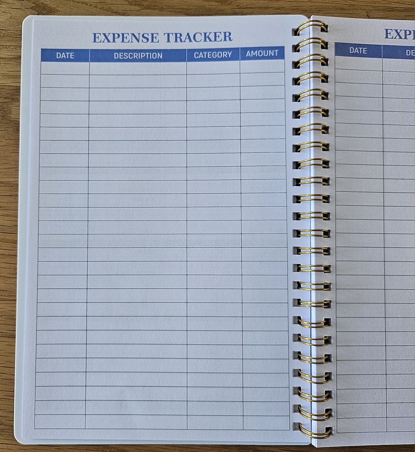 Месечен финансов планер (Budget Planner)