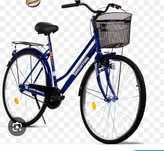 Bicicleta Timisoreana