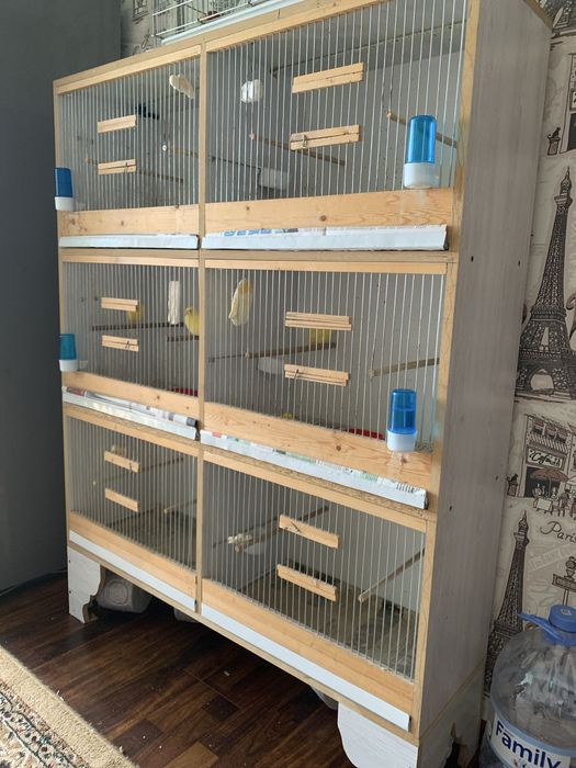 Кафас сотилади 6 дона канарека учун