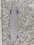 Longboard Hudora