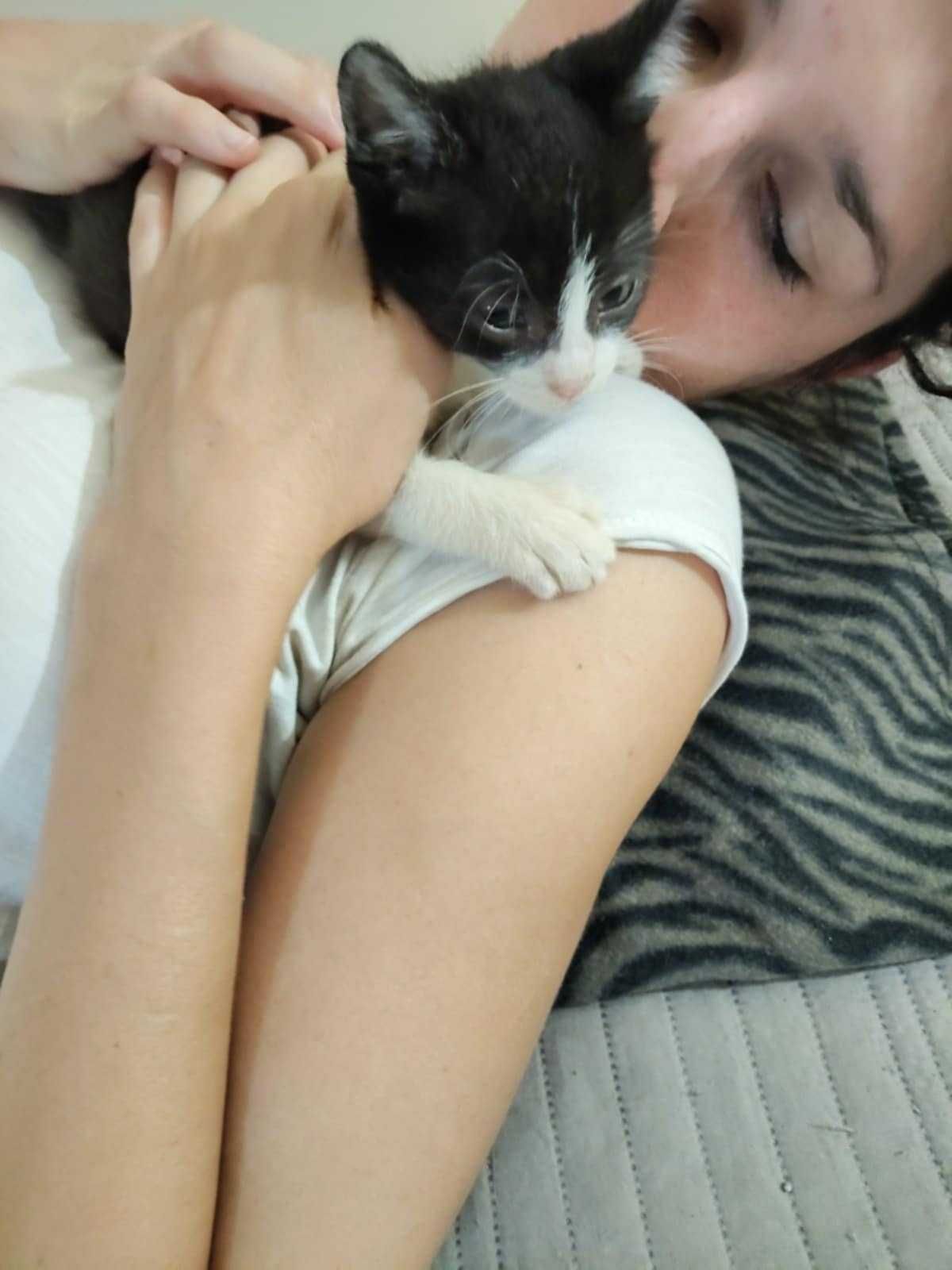 Момче коте си търси дом