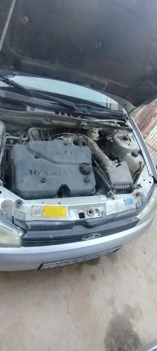 Продам калину 2012 года