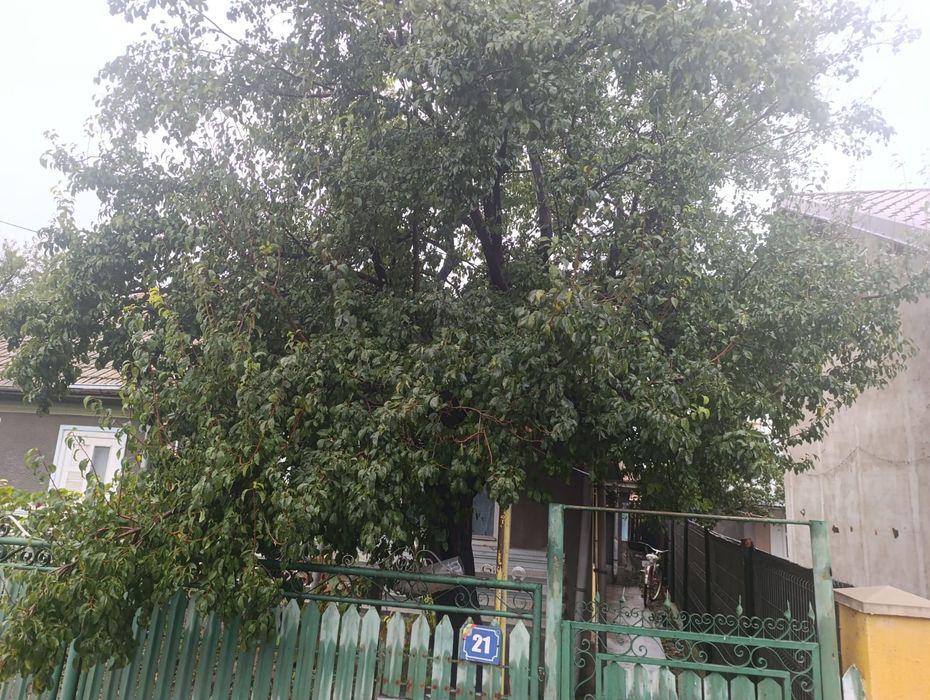 Case în cioranii de jos