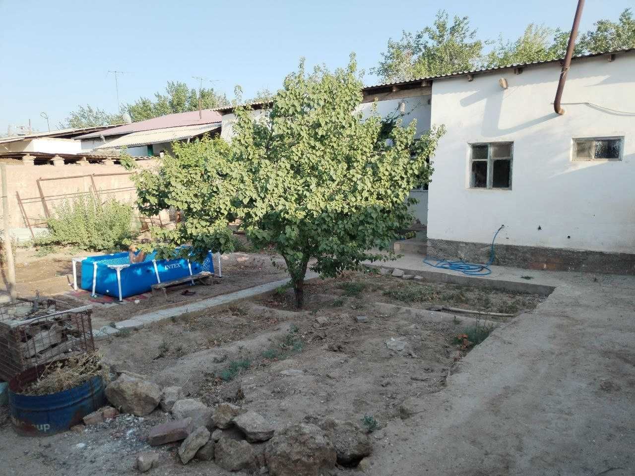 Nukus 108 povorotta 5xanali jer jay satiladi