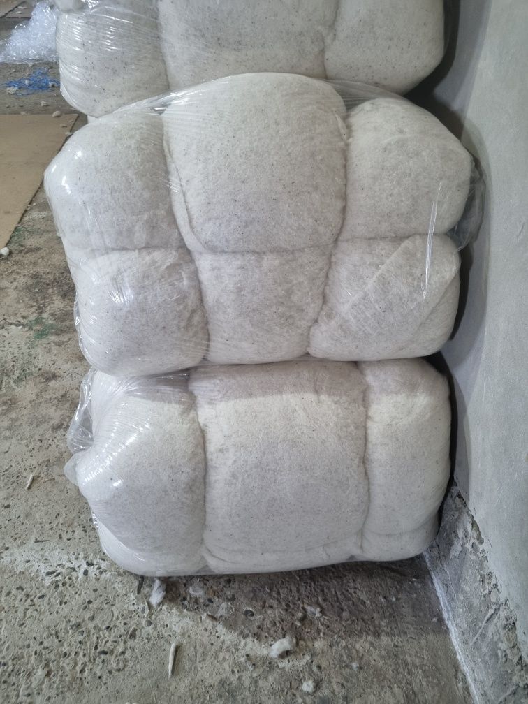 Tayyor Paxta sintifon