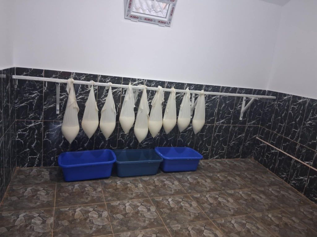 Telemea de oaie și capra25 de lei angro la nr de