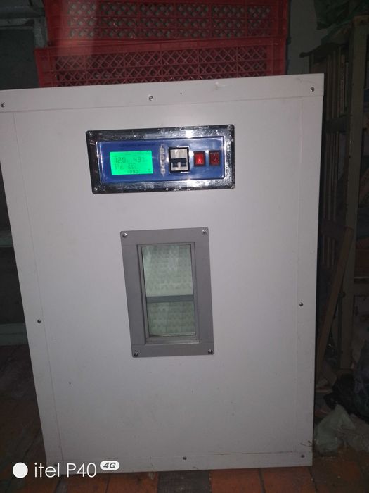 Инкубатор для вывода цыплят