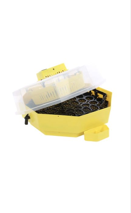 Incubator pentru oua Cleo 5DTH