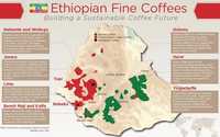 Поставка кофе с Африки (Танзания, Конго,Эфиопия)