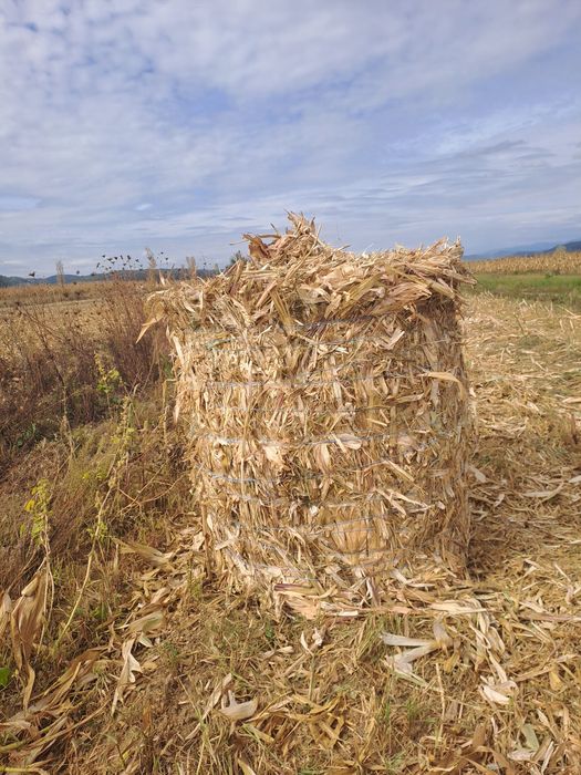 Baloti de fan ,coceni si paie