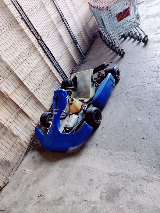 Kart de vânzare Tecno Kart