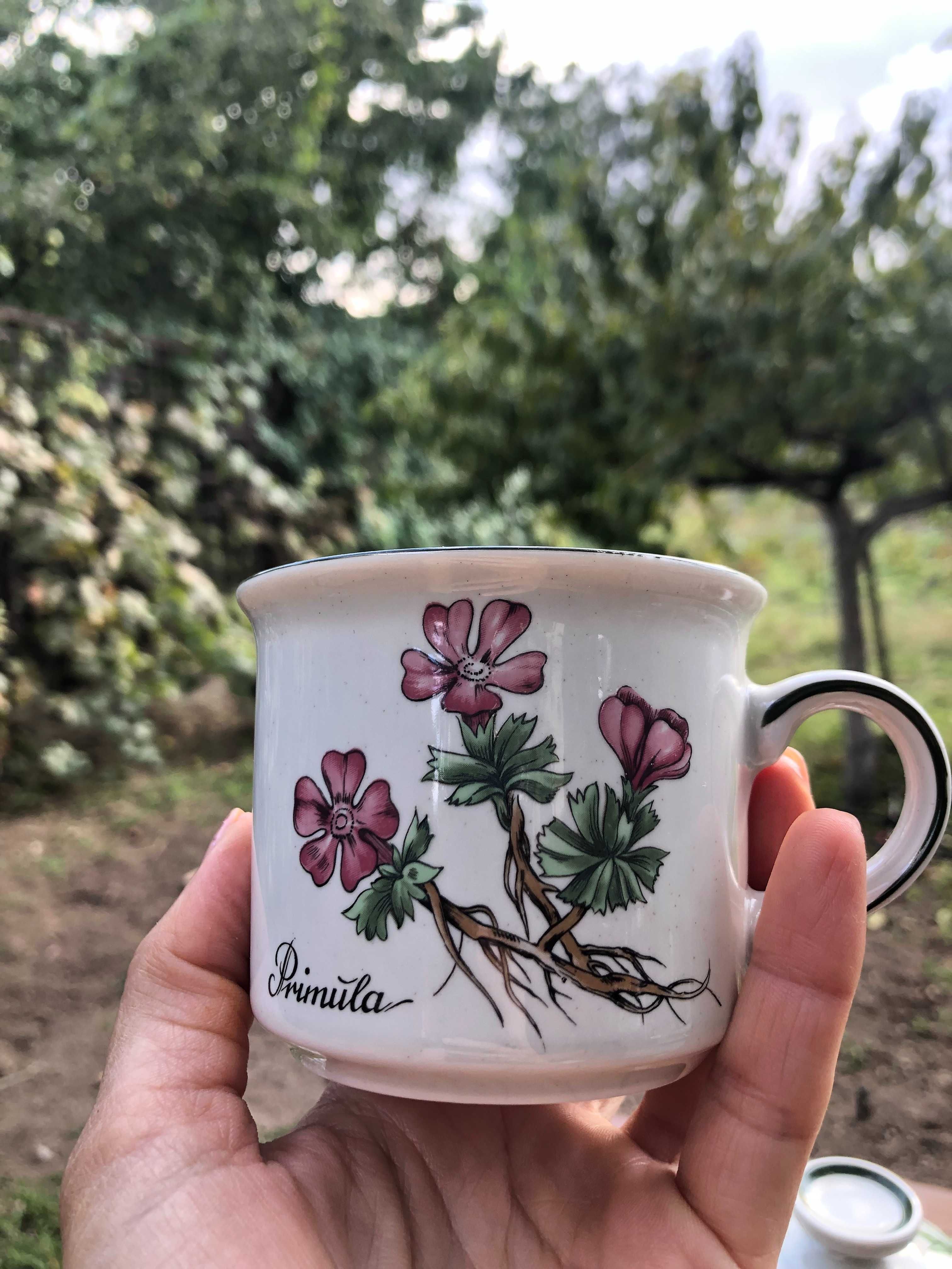 Winterling Bavaria Botanica
