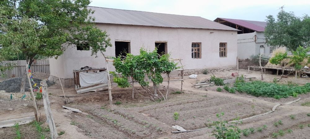 Jay satiladi 300 mln