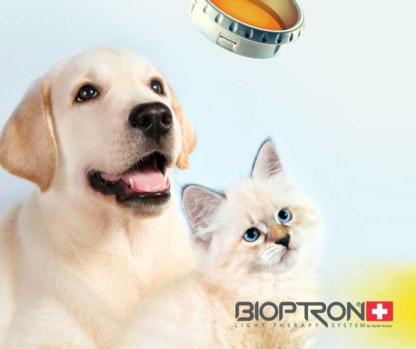 Set 7 lentile color therapy pentru Bioptron Pro.1, diametru de 11 cm