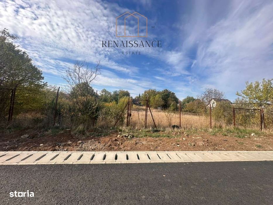 Giarmata Teren 1889mp Front 27.5m Pretabil Duplex/Triplex - Asfalt