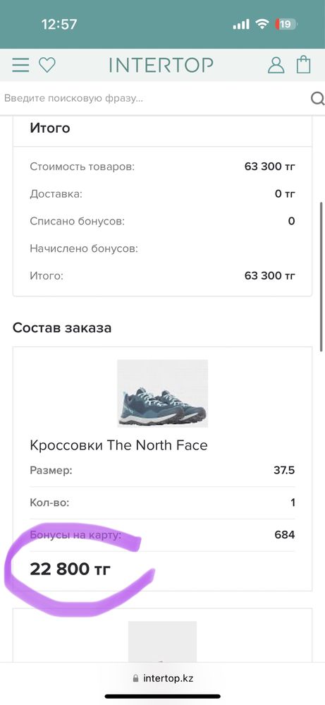 The north face кроссовки 36