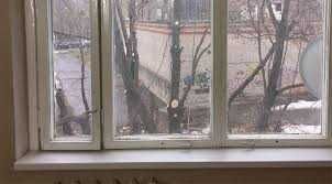 отдам даром дрова