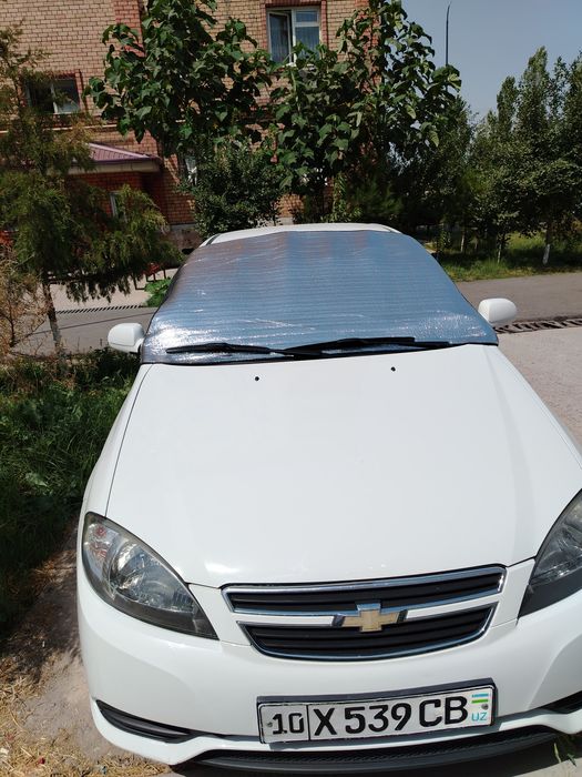 Мошина тоза 2015