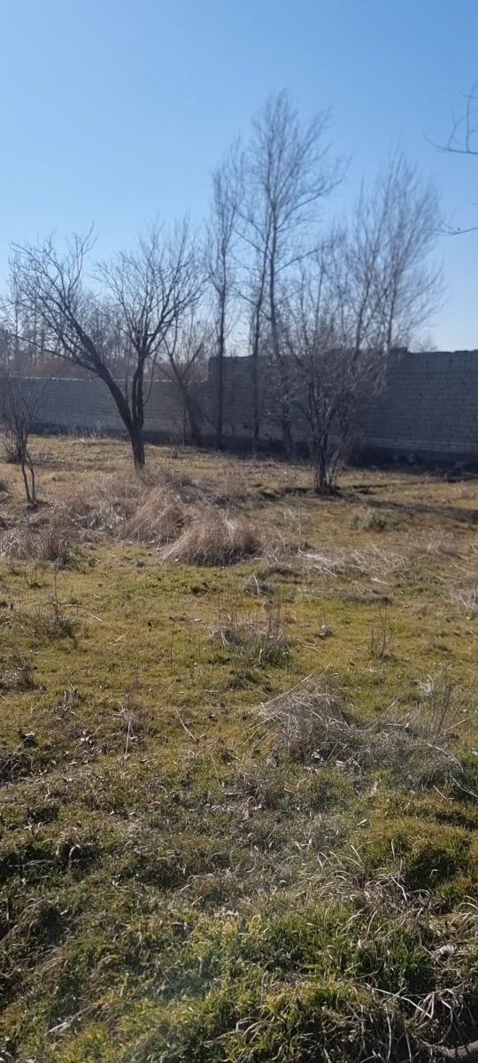 Земельный участок, дача, на против заповедника. Жомбой,
