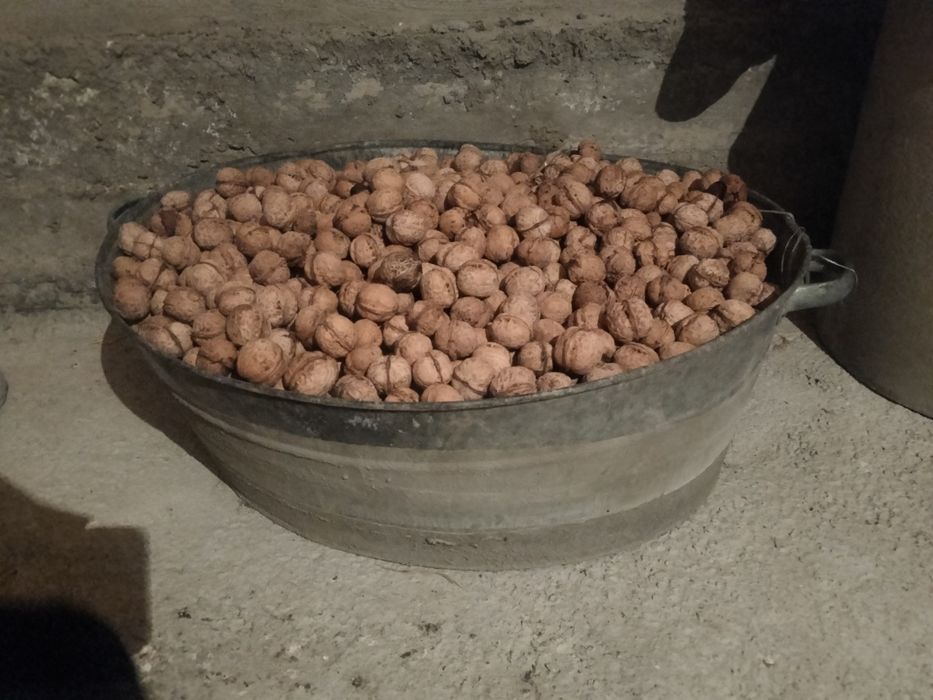 Жаңғақ биылғы, свеежый дәмі өте керемет