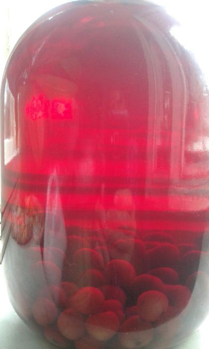 Компоты из вишни,и вишни волочной