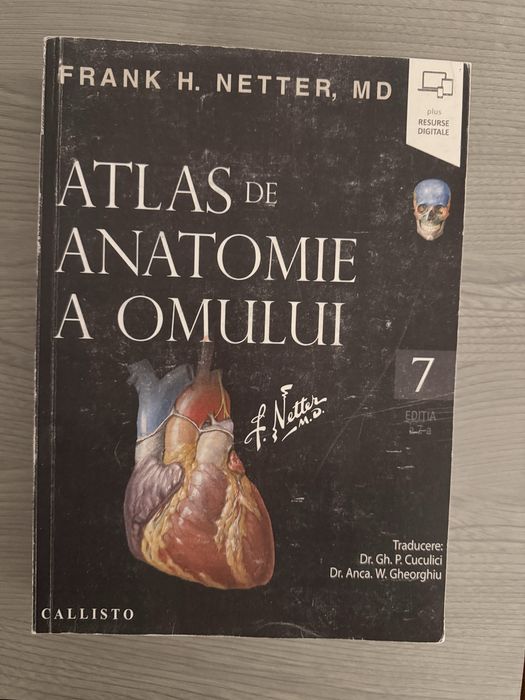 Netter Atlas Romana Editia 7