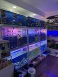 Akvarium Magazin Mirobod va Sergili