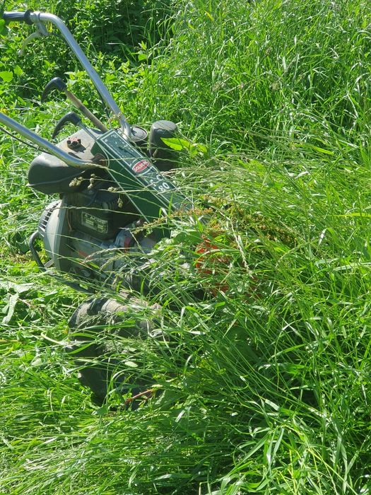 Motocositoare goldoni