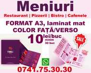 MENIURI Grafica si Tipar | Restaurant | Pizza | Cafenele | Bistro |