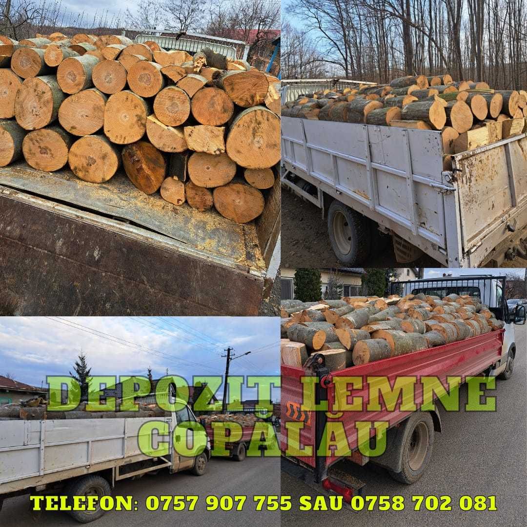 vindem lemne de foc