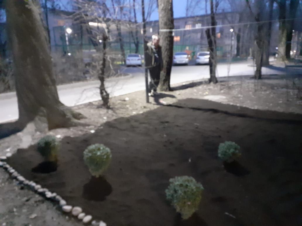 Чернозем в мешках, чернозем горный