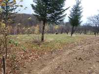 Teren intravilan Sinteu, jud Bihor