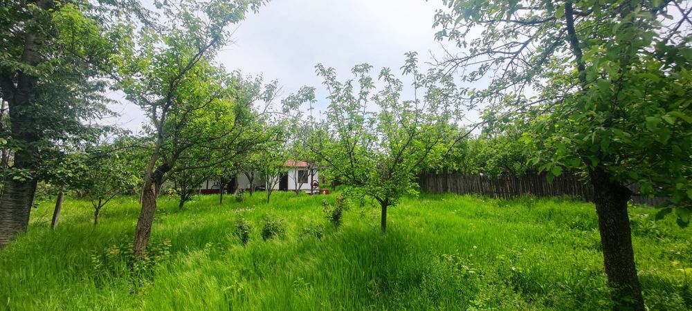 Casă cu teren 6338 mp