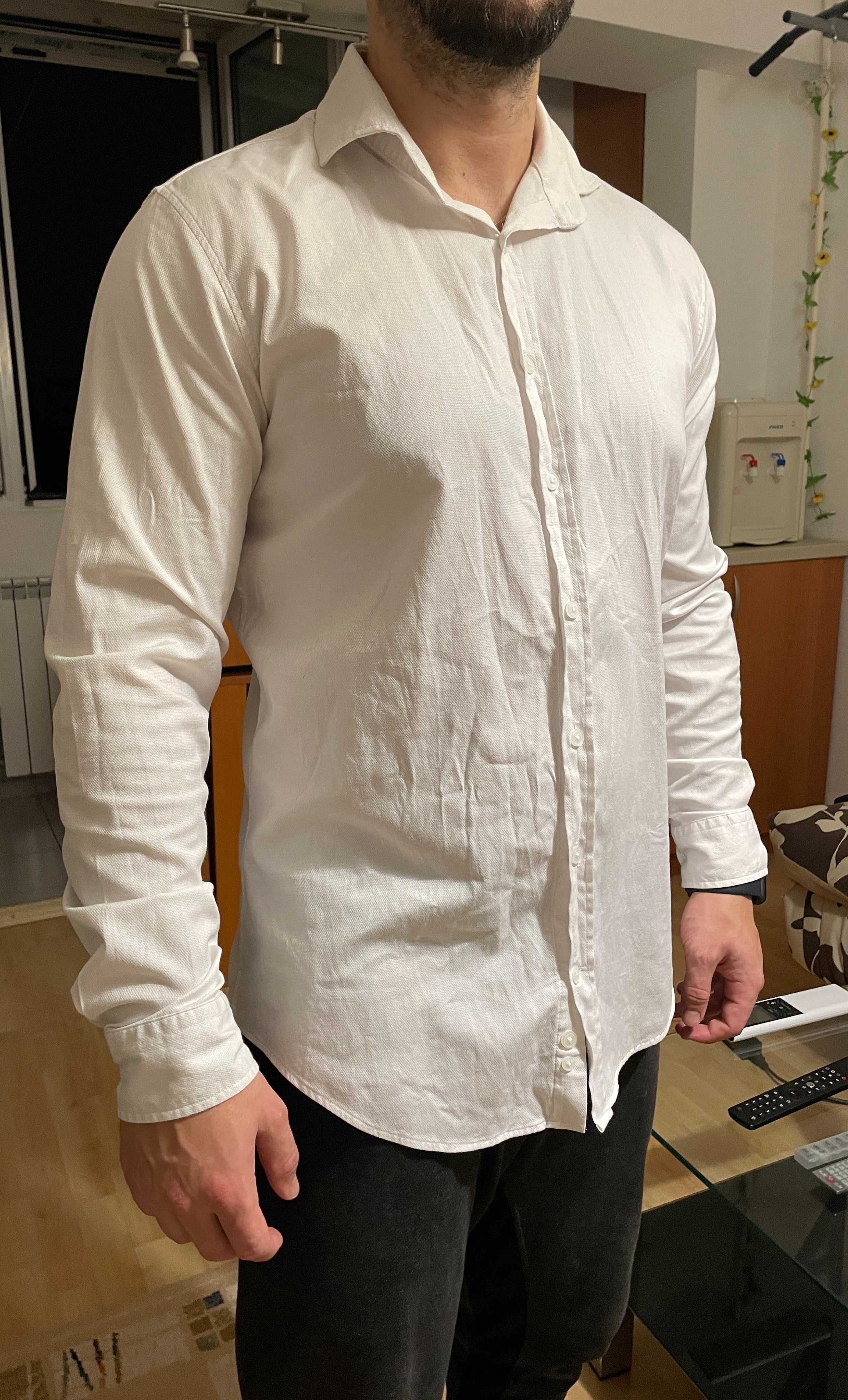 Бяла риза TUDORS