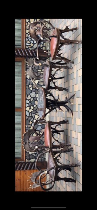 Set masa și scaune sin coarne