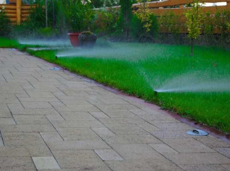 Gazon Rulou Sport premium