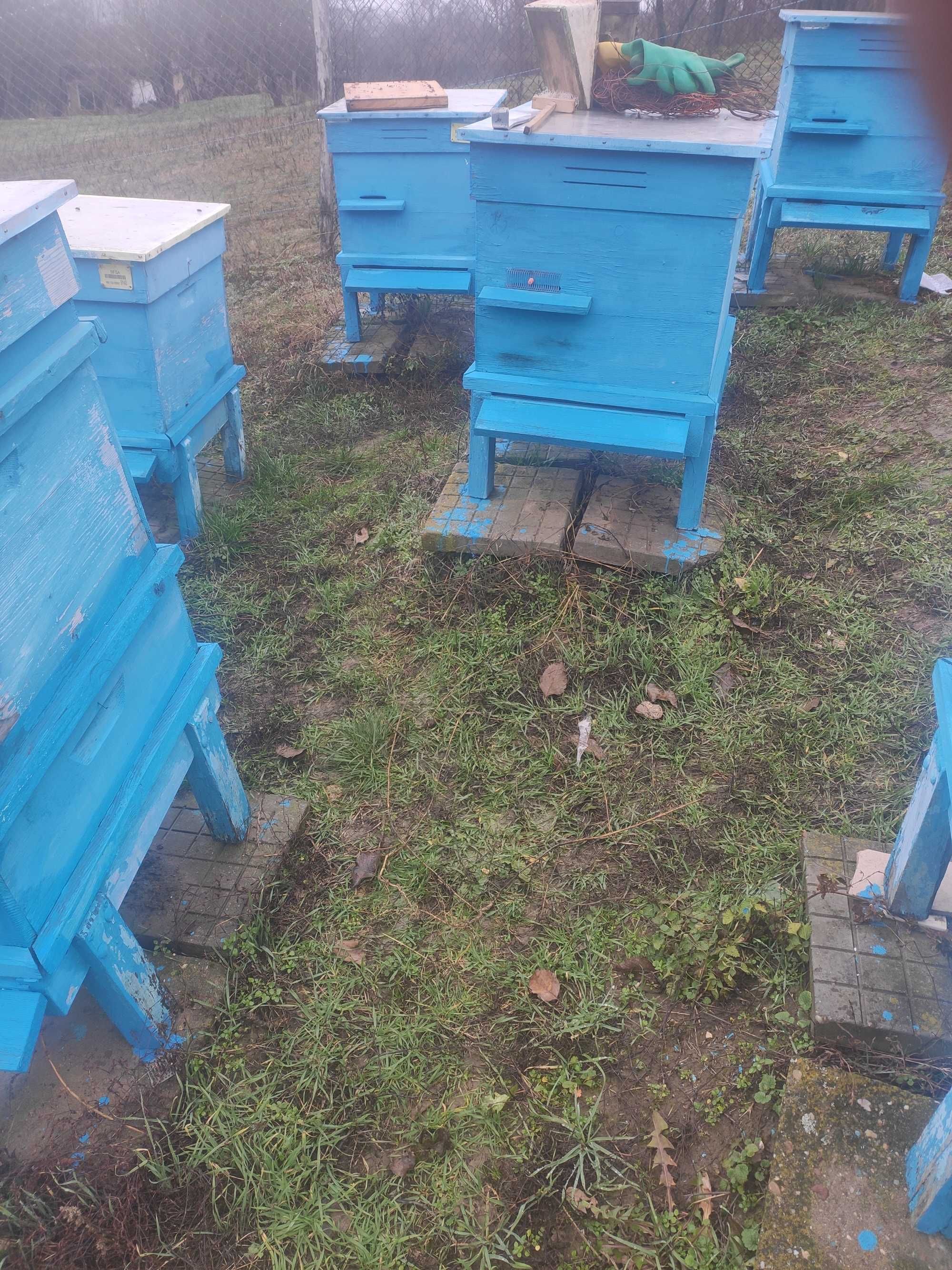 Пчелни семейства в кошери с подвижно дъно 10 рамкови тип многокорпусни