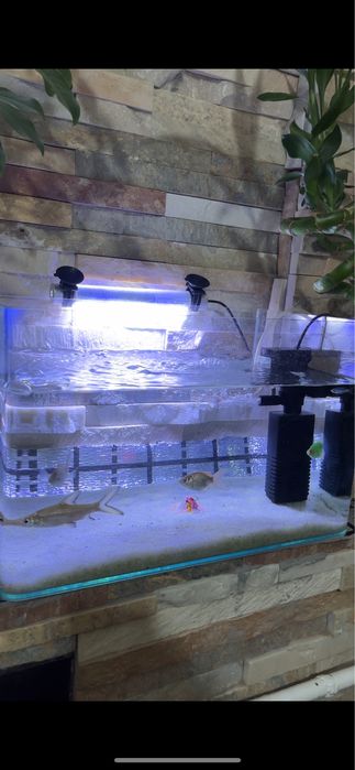 Продаю аквариум с фильтром и освещением