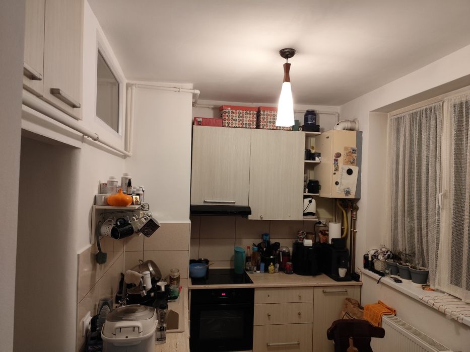 Apartament 1 camera, Baia Mare, Nicolae Iorga