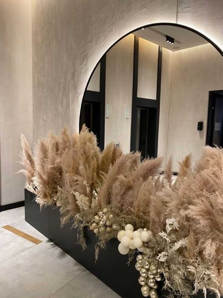 Pampas de vânzare/decor