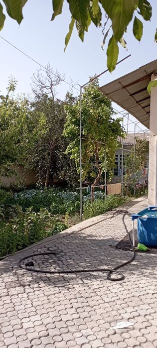 Участок олмос Яккатол 5.35 соток