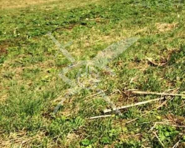 Парцел в Царацово 88633