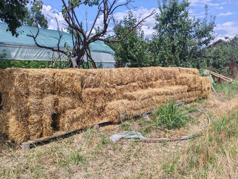 Baloți din paie de grâu